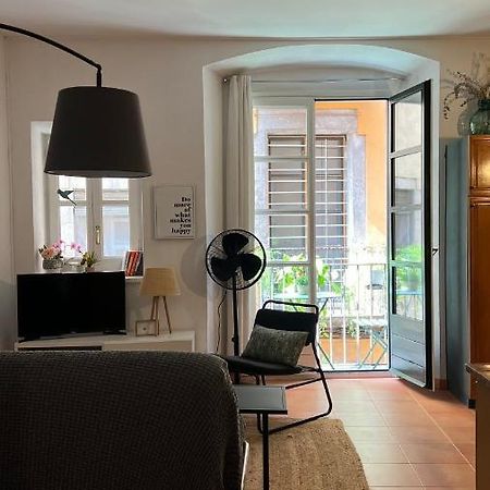 Apartamento Con Encanto Y Terraza En Barri Vell De Girona, El Cul De La Lleonaアパートメント エクステリア 写真