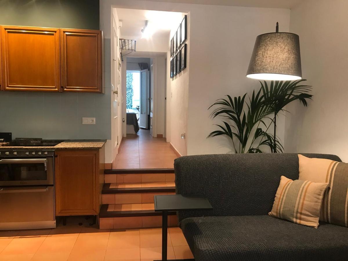 Apartamento Con Encanto Y Terraza En Barri Vell De Girona, El Cul De La Lleona エクステリア 写真