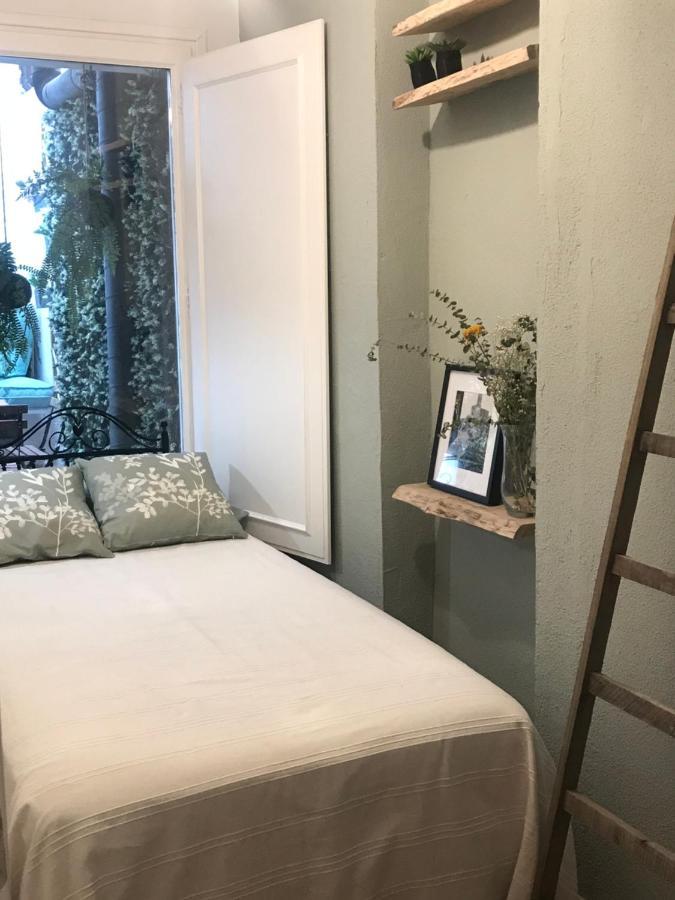 Apartamento Con Encanto Y Terraza En Barri Vell De Girona, El Cul De La Lleona エクステリア 写真