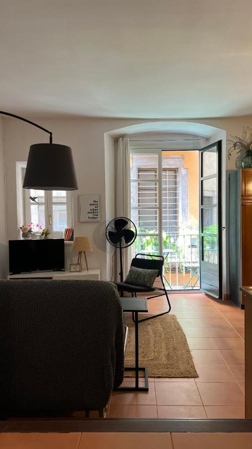 Apartamento Con Encanto Y Terraza En Barri Vell De Girona, El Cul De La Lleona エクステリア 写真