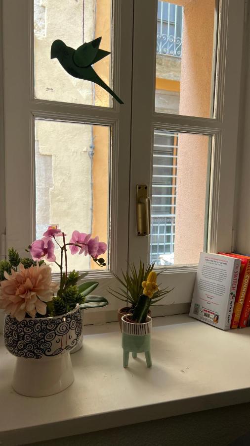 Apartamento Con Encanto Y Terraza En Barri Vell De Girona, El Cul De La Lleona エクステリア 写真
