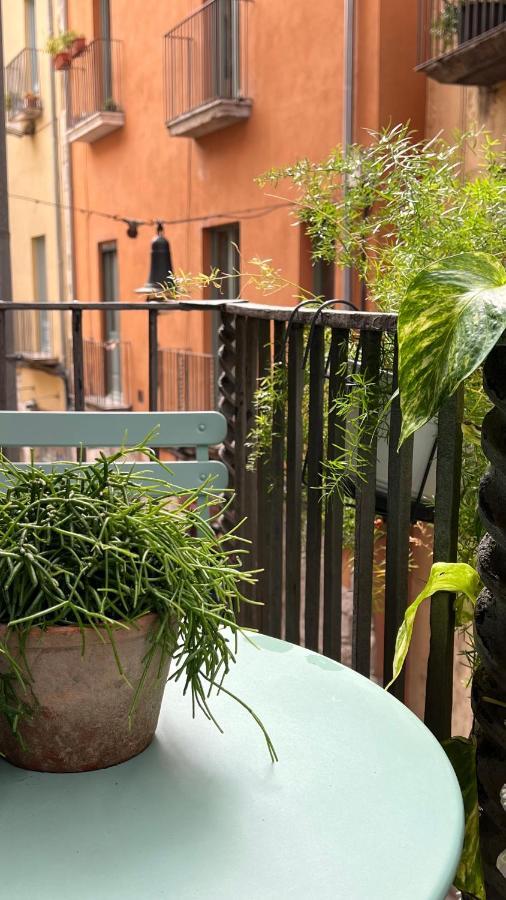 Apartamento Con Encanto Y Terraza En Barri Vell De Girona, El Cul De La Lleona エクステリア 写真