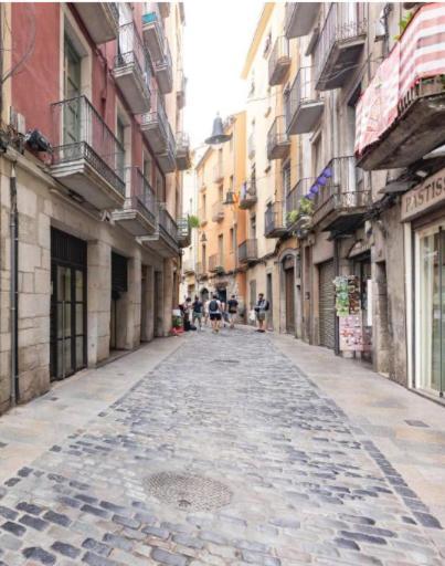 Apartamento Con Encanto Y Terraza En Barri Vell De Girona, El Cul De La Lleona エクステリア 写真
